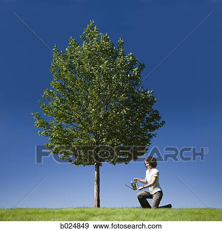 Stock Photo - businesswoman with a watering can. Fotosearch