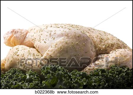 chicken on a plate View Large Photo Image Stock Image - chicken on a plate. Fotosearch