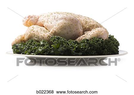 chicken on a plate View Large Photo Image Stock Photo - chicken on a plate. Fotosearch