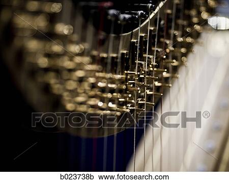 close up of a harp View Large Photo Image Stock Image - close up of a harp. Fotosearch