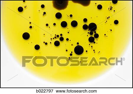 close up of oil and balsamic vinegar View Large Photo Image Stock Photo - close up of oil and balsamic vinegar. Fotosearch