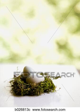 eggs in a nest View Large Photo Image Stock Image - eggs in a nest. Fotosearch