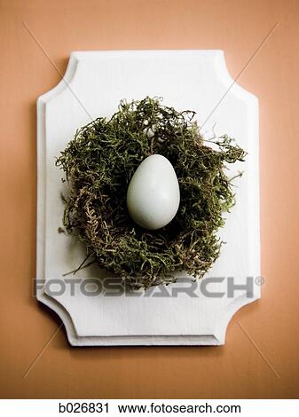 Stock Image - eggs in a nest. Fotosearch