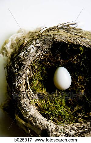 eggs in a nest View Large Photo Image Stock Photo - eggs in a nest. Fotosearch