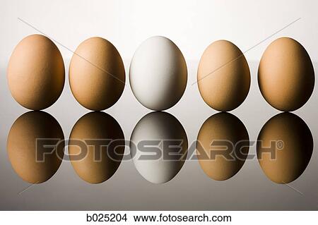 eggs View Large Photo Image Picture - eggs. Fotosearch