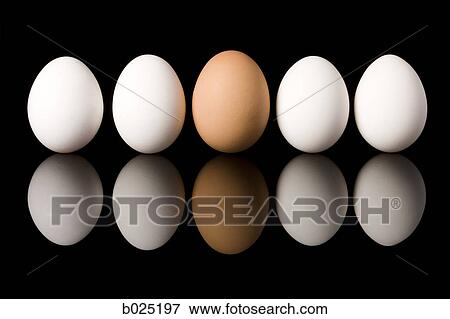 eggs View Large Photo Image Stock Photo - eggs. Fotosearch