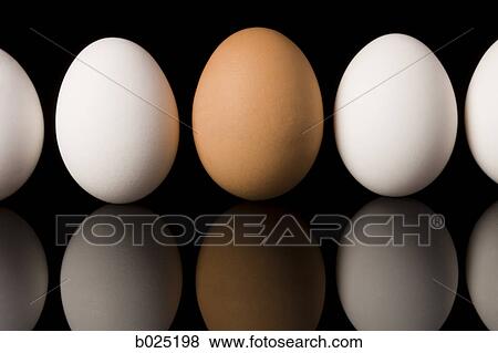 eggs View Large Photo Image Stock Photo - eggs. Fotosearch
