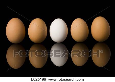 eggs View Large Photo Image Stock Photo - eggs. Fotosearch