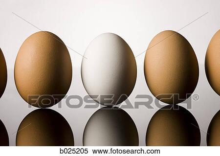 eggs View Large Photo Image Stock Photography - eggs. Fotosearch