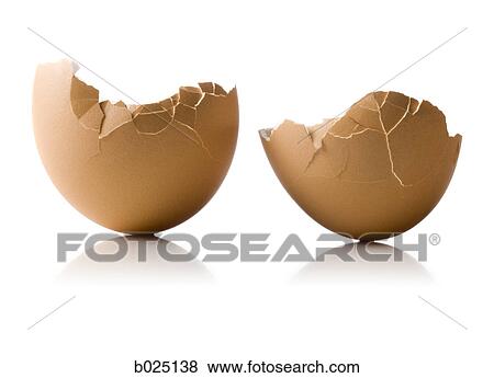 eggshell View Large Photo Image Stock Photo - eggshell. Fotosearch