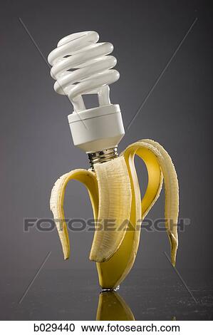 energy saving light bulb plugged into a banana View Large Photo Image Stock Image - energy saving light bulb plugged into a banana. Fotosearch
