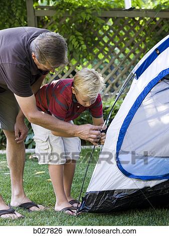 father and son putting up a tent in the backyard View Large Photo Image Stock Photograph - father and son putting up a tent in the backyard. Fotosearch
