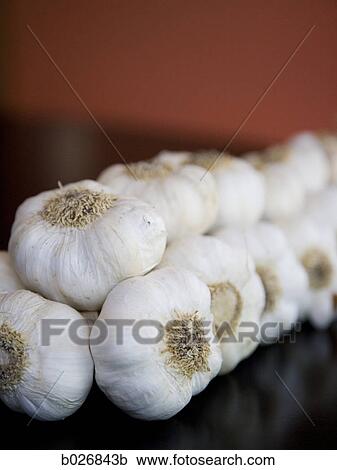 garlic cloves View Large Photo Image Stock Image - garlic cloves. Fotosearch