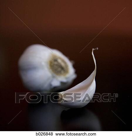 Stock Photo - garlic cloves. Fotosearch