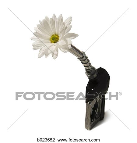 gas pump nozzle with a flower coming out of it View Large Photo Image Stock Image - gas pump nozzle with a flower coming out of it. Fotosearch