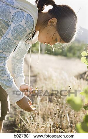 girl picking flowers in the wilderness View Large Photo Image Stock Image - girl picking flowers in the wilderness. Fotosearch