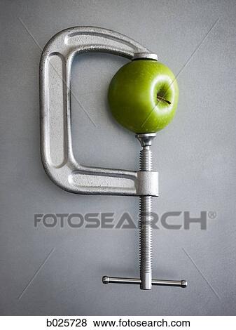 green apple in a clamp View Large Photo Image Stock Photo - green apple in a clamp. Fotosearch