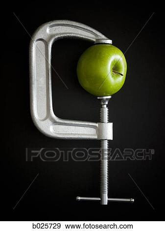 green apple in a clamp View Large Photo Image Stock Photo - green apple in a clamp. Fotosearch