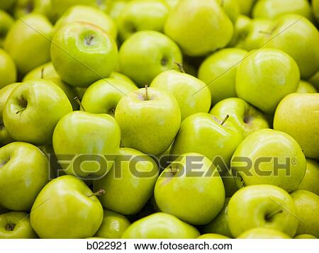 green apples View Large Photo Image Stock Image - green apples. Fotosearch