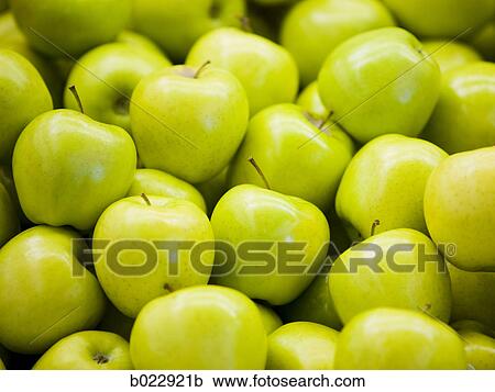 green apples View Large Photo Image Stock Image - green apples. Fotosearch