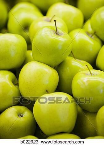 green apples View Large Photo Image Stock Image - green apples. Fotosearch