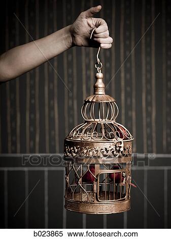 hand holding a birdcage View Large Photo Image Stock Photography - hand holding a birdcage. Fotosearch