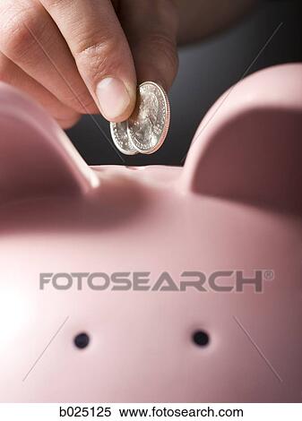 hand putting two quarters in a piggy bank View Large Photo Image Stock Photography - hand putting two quarters in a piggy bank. Fotosearch