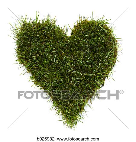 heart shape made of grass View Large Photo Image Stock Image - heart shape made of grass. Fotosearch