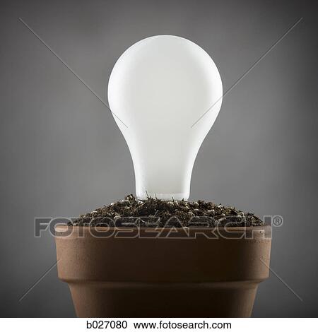 light bulb planted in a pot of soil View Large Photo Image Stock Image - light bulb planted in a pot of soil. Fotosearch