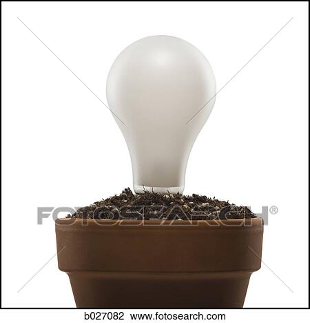 light bulb planted in a pot of soil View Large Photo Image Stock Image - light bulb planted in a pot of soil. Fotosearch