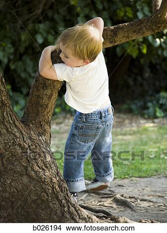 little boy climbing a tree View Large Photo Image Picture - little boy climbing a tree. Fotosearch