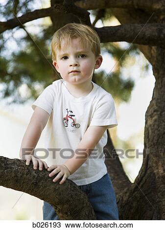 little boy climbing a tree View Large Photo Image Stock Image - little boy climbing a tree. Fotosearch
