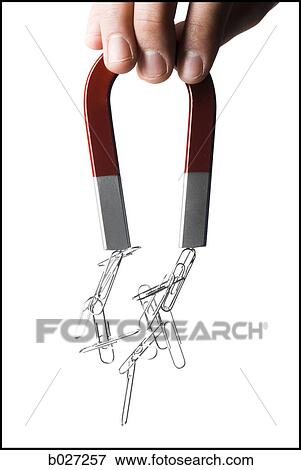 Stock Photo - magnet lifting up a bunch of paperclips. Fotosearch