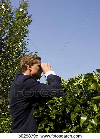 man looking over a hedge with binoculars View Large Photo Image Stock Image - man looking over a hedge with binoculars. Fotosearch