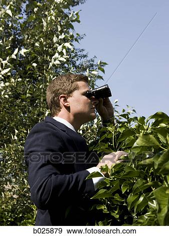 man looking over a hedge with binoculars View Large Photo Image Stock Photo - man looking over a hedge with binoculars. Fotosearch