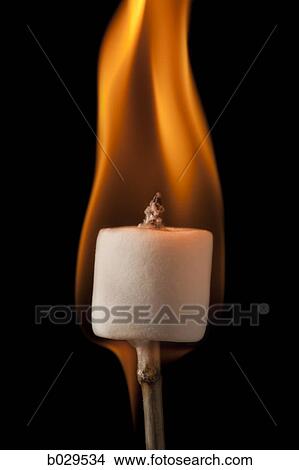 marshmallow burning on a stick View Large Photo Image Picture - marshmallow burning on a stick. Fotosearch