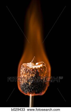 marshmallow burning on a stick View Large Photo Image Stock Image - marshmallow burning on a stick. Fotosearch