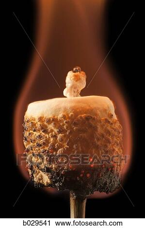 marshmallow burning on a stick View Large Photo Image Stock Image - marshmallow burning on a stick. Fotosearch