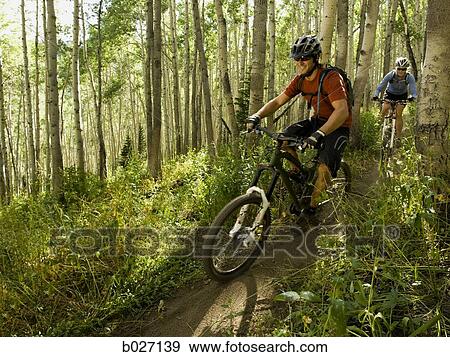 mountain bikers riding down a trail View Large Photo Image Stock Photo - mountain bikers riding down a trail. Fotosearch