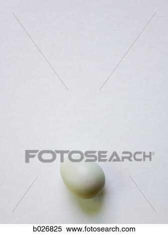 one egg View Large Photo Image Stock Photography - one egg. Fotosearch