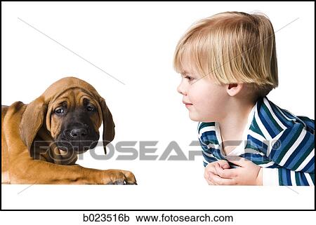 Stock Image - puppy and a boy. Fotosearch