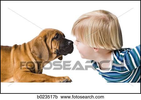 Stock Image - puppy and a boy. Fotosearch