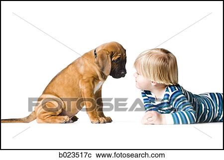 puppy and a boy View Large Photo Image Stock Image - puppy and a boy. Fotosearch