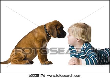 Stock Image - puppy and a boy. Fotosearch