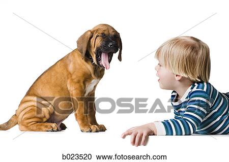 Stock Image - puppy and a boy. Fotosearch