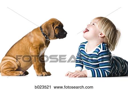 puppy and a boy View Large Photo Image Stock Image - puppy and a boy. Fotosearch