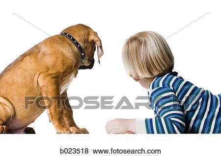 Stock Photo - puppy and a boy. Fotosearch