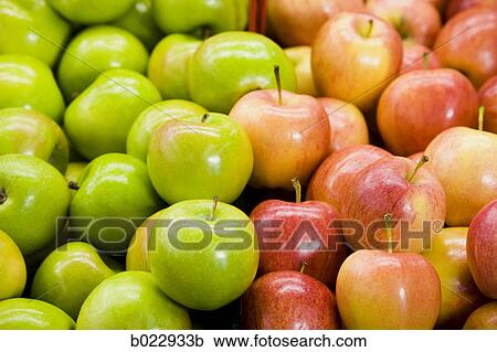 red and green apples View Large Photo Image Stock Image - red and green apples. Fotosearch