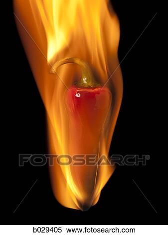 red chili on fire View Large Photo Image Stock Photography - red chili on fire. Fotosearch