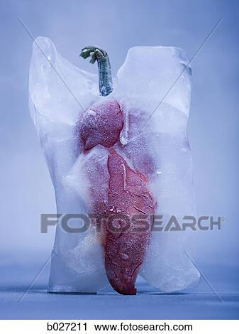 red pepper frozen in a block of ice View Large Photo Image Stock Image - red pepper frozen in a block of ice. Fotosearch